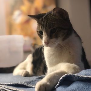 Meet your Posher, Esther